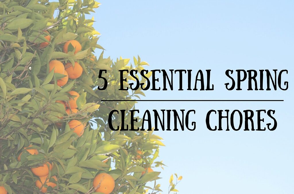 5 Essential Spring Cleaning Chores