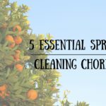 5 Essential Spring Cleaning Chores