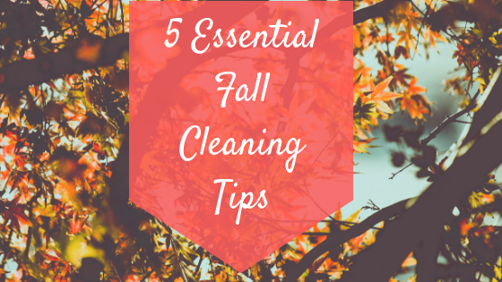 Tips for Cleaning this Fall