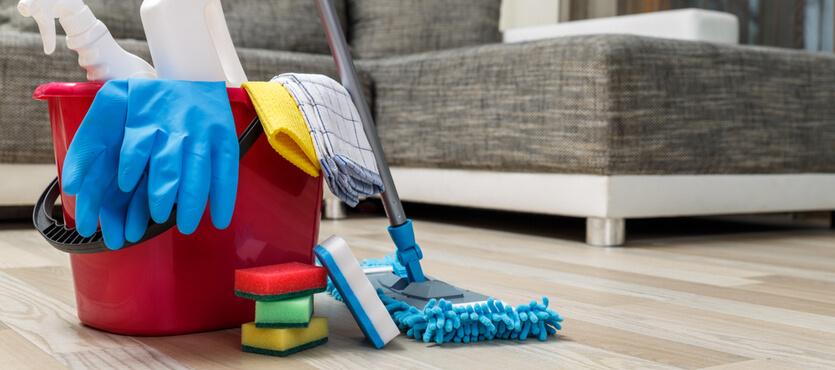 What does a basic cleaning include in Toronto