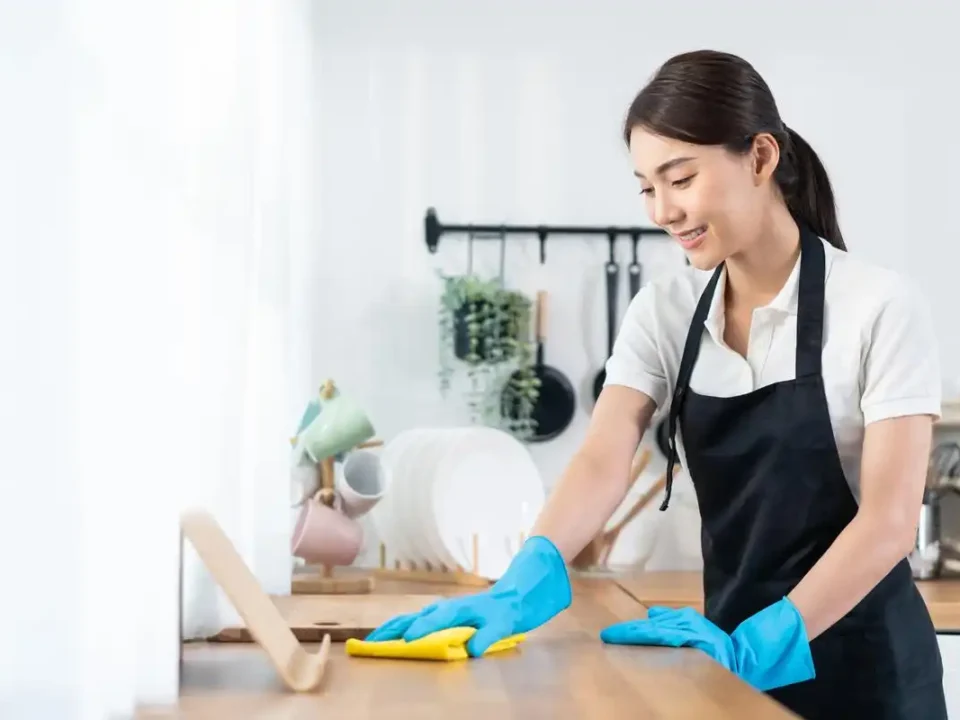 What Do Etobicoke House Cleaning Maids Use to Clean Kitchens?