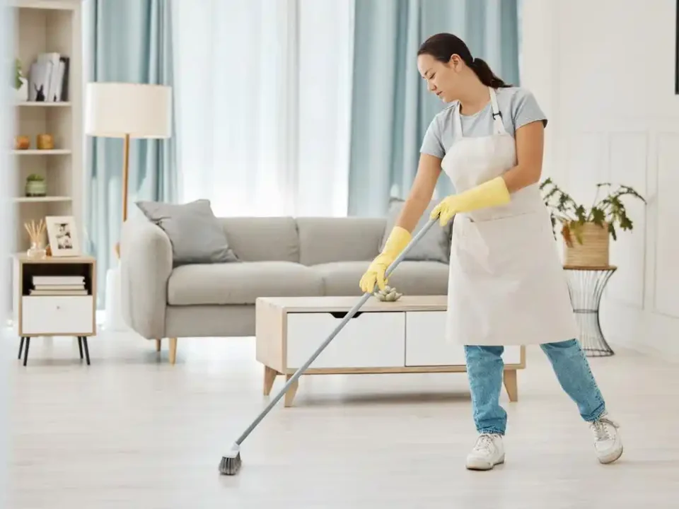 What Do New Market House Cleaning Maids Use to Clean Living Rooms?