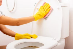 Learn about the toilet cleaning methods and tools used by Cleaning Maids in Newmarket. From using specialized cleaners to brushes; read on to find out more.