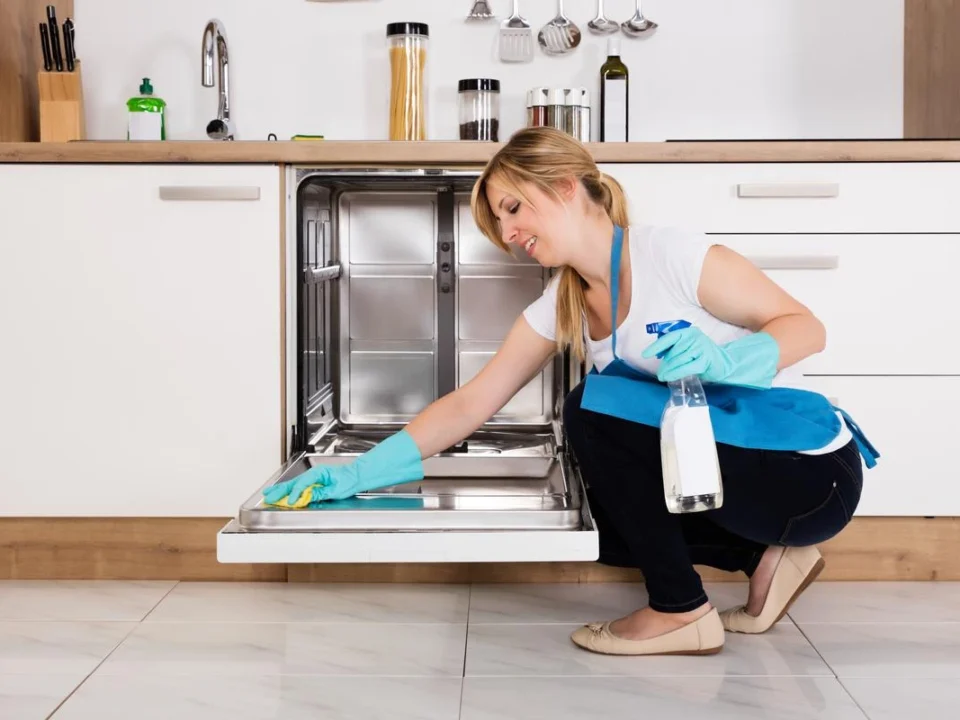 How to Clean Your Dishwasher: Tips from Etobicoke Maids