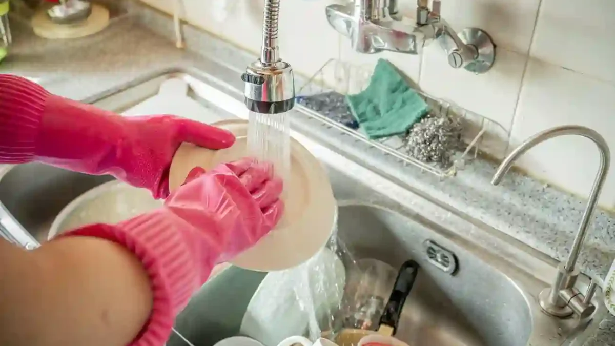 Dishwashing Tips from Mississauga Maids